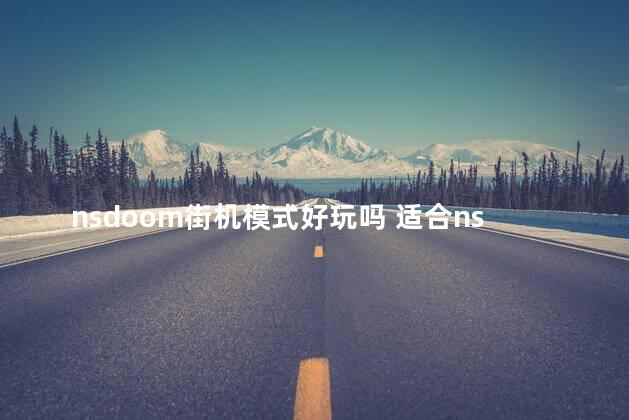 nsdoom街机模式好玩吗 适合ns掌机模式且耐玩的游戏